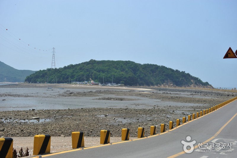 蚕津島 (7/7)