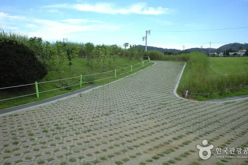 江華支石墓遺跡[ユネスコ世界文化遺産] (4/6)