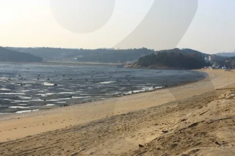 永宗島 (1/8)