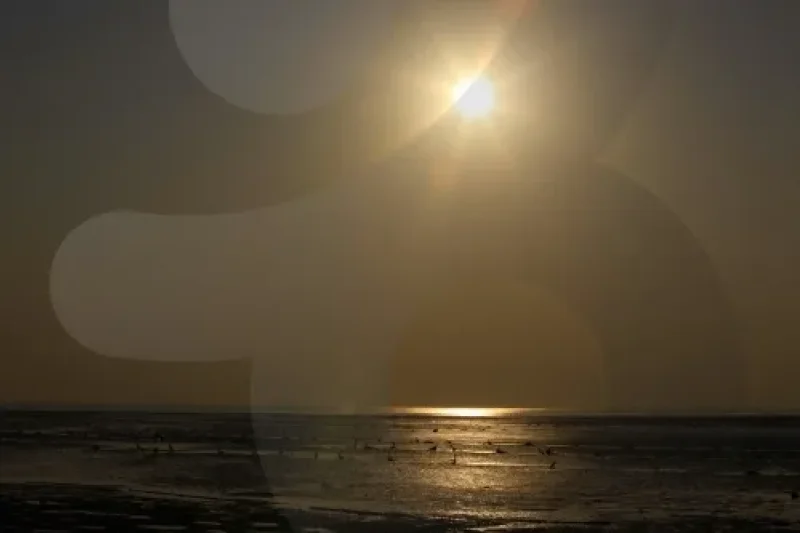 永宗島 (8/8)
