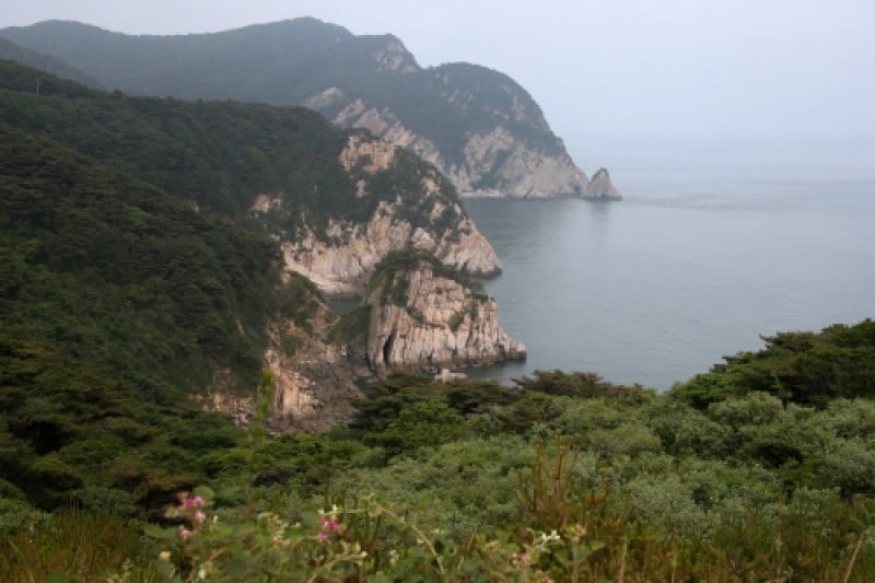 大青島 (23/48)