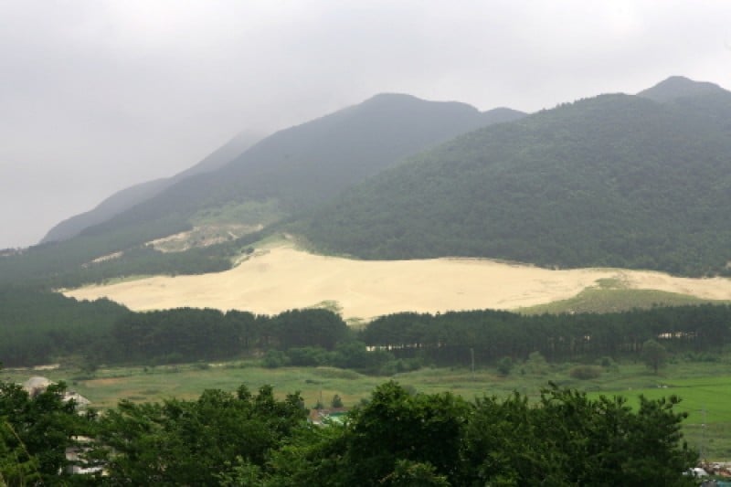 大青島 (38/48)