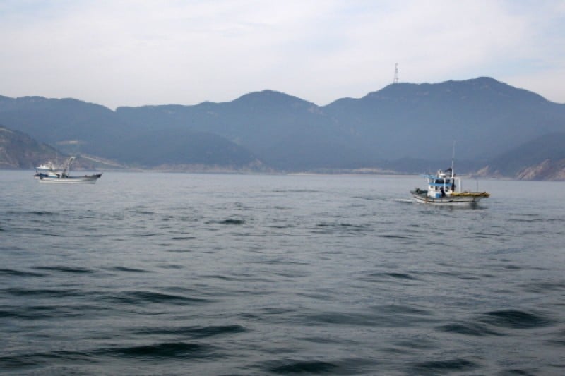 大青島 (42/48)