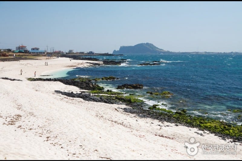城山日出峰 (6/31)