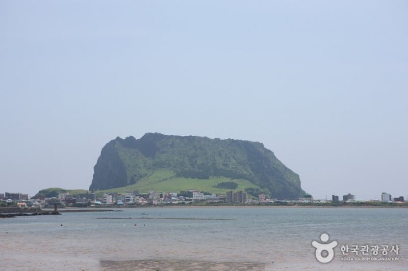 城山日出峰 (12/31)