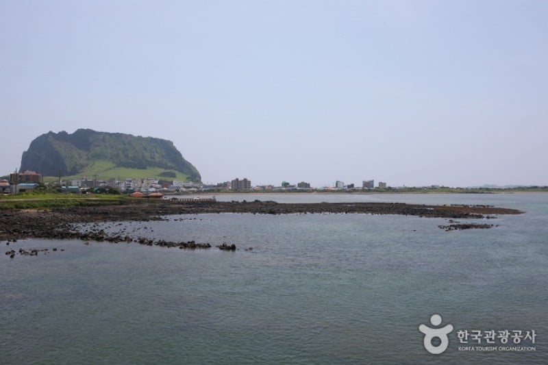 城山日出峰 (13/31)