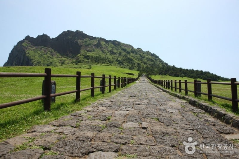 城山日出峰 (17/31)