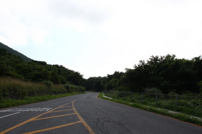 漢拏山国立公園 (6/19)