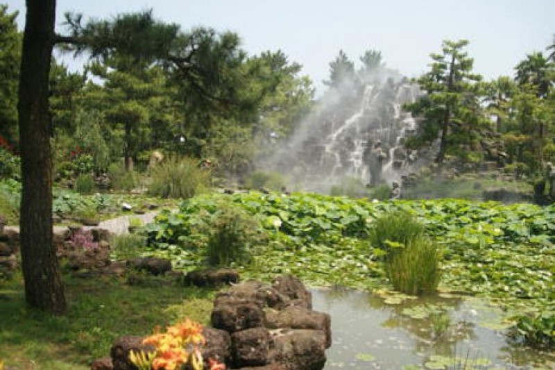 翰林公園 (9/11)
