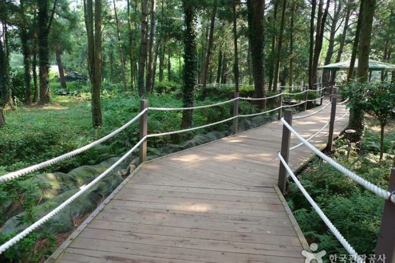 金寧迷路公園 (1/24)