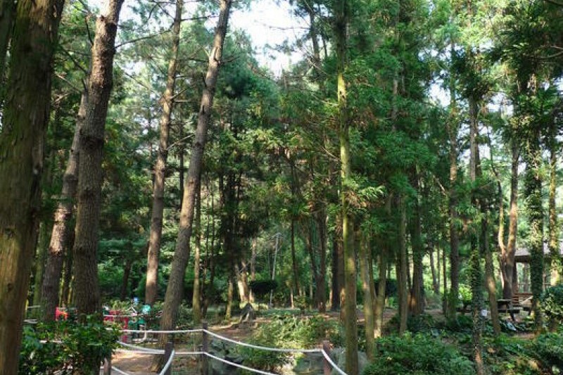 金寧迷路公園 (2/24)