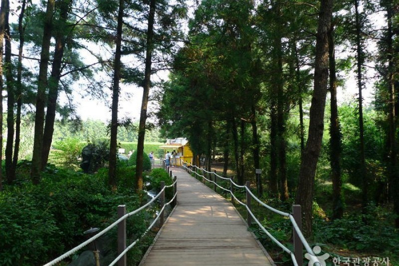 金寧迷路公園 (4/24)