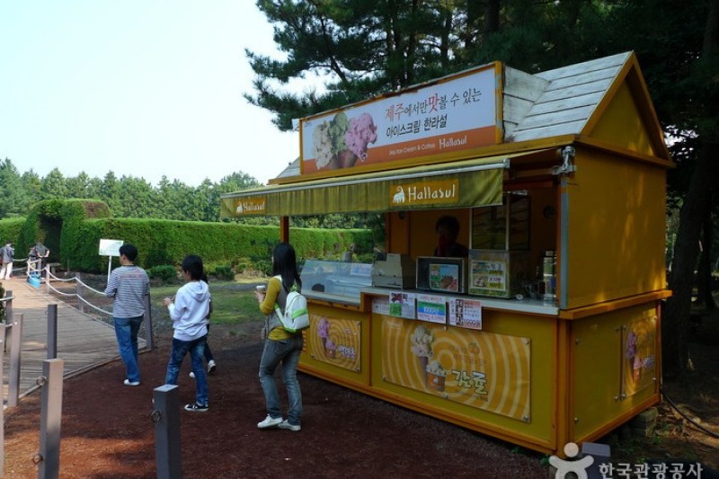 金寧迷路公園 (7/24)