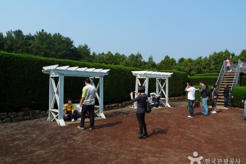 金寧迷路公園 (10/24)