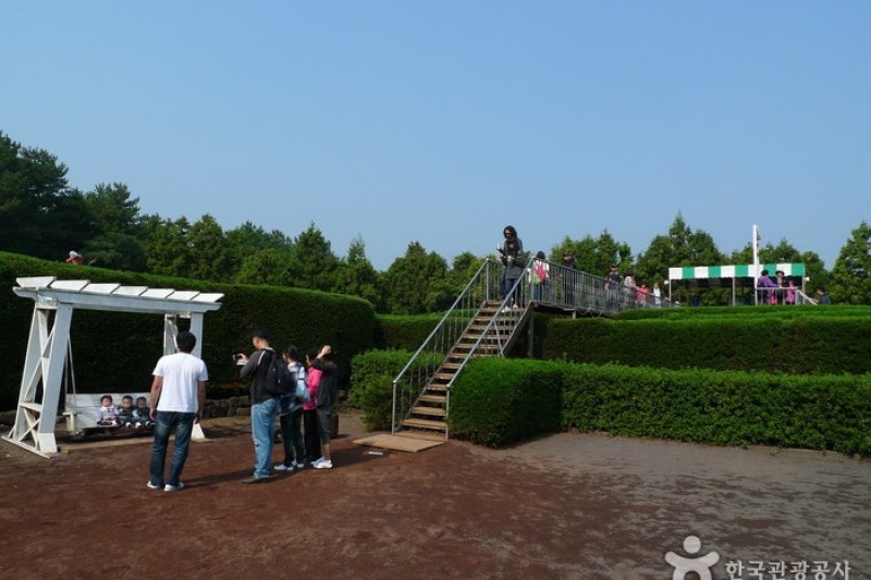 金寧迷路公園 (12/24)