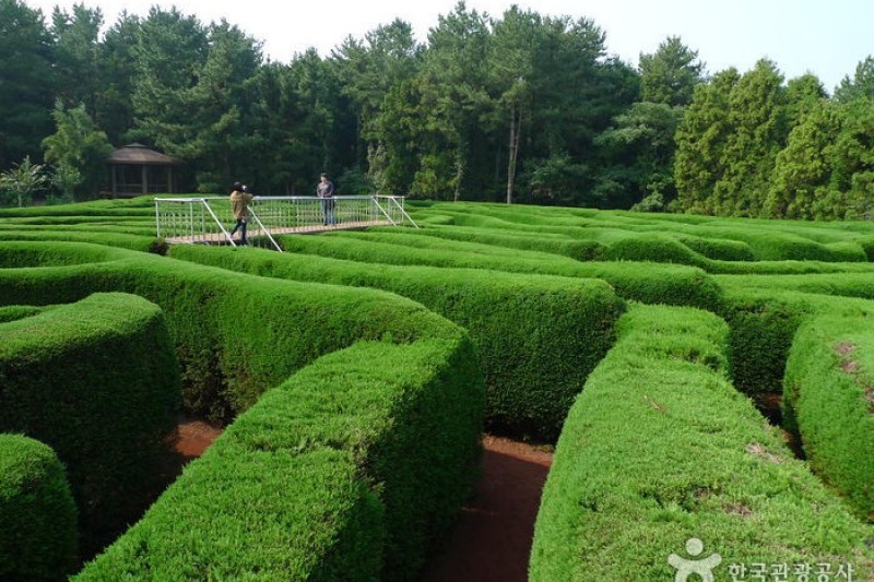 金寧迷路公園 (15/24)