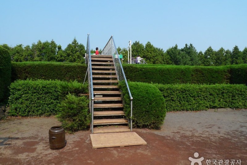 金寧迷路公園 (18/24)