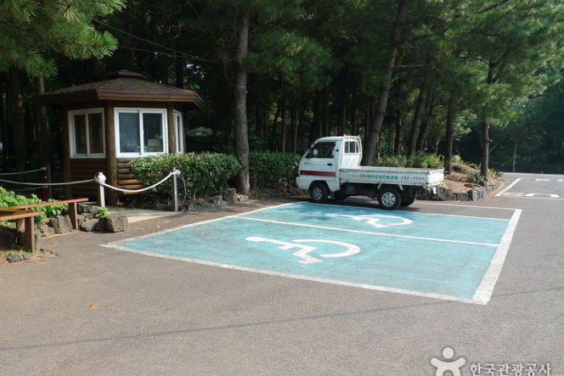 金寧迷路公園 (20/24)