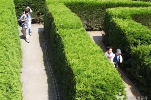 金寧迷路公園