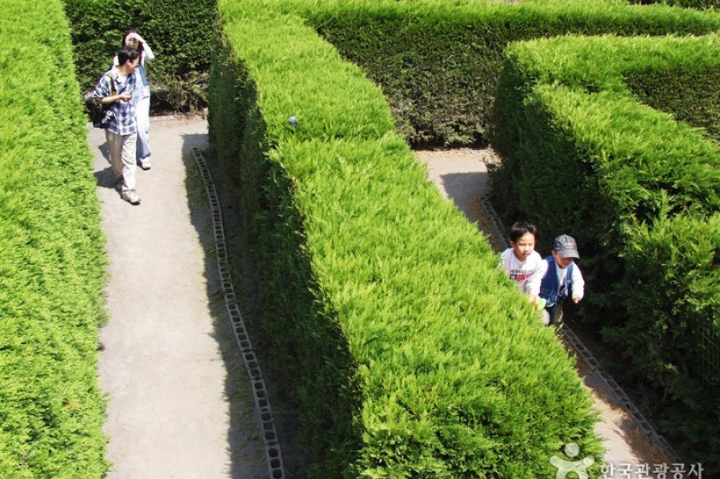 金寧迷路公園 (23/24)