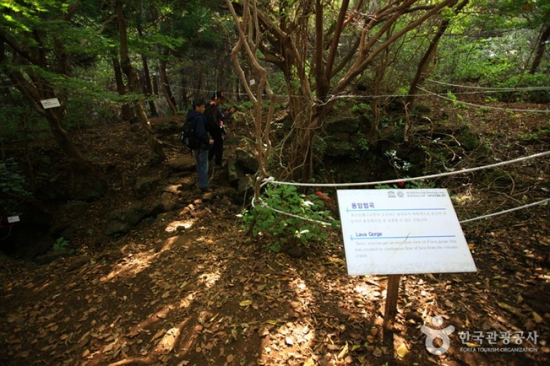 拒文オルム［世界自然遺産］ (15/20)
