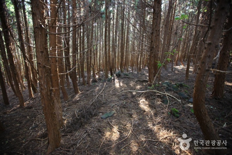 拒文オルム［世界自然遺産］ (17/20)