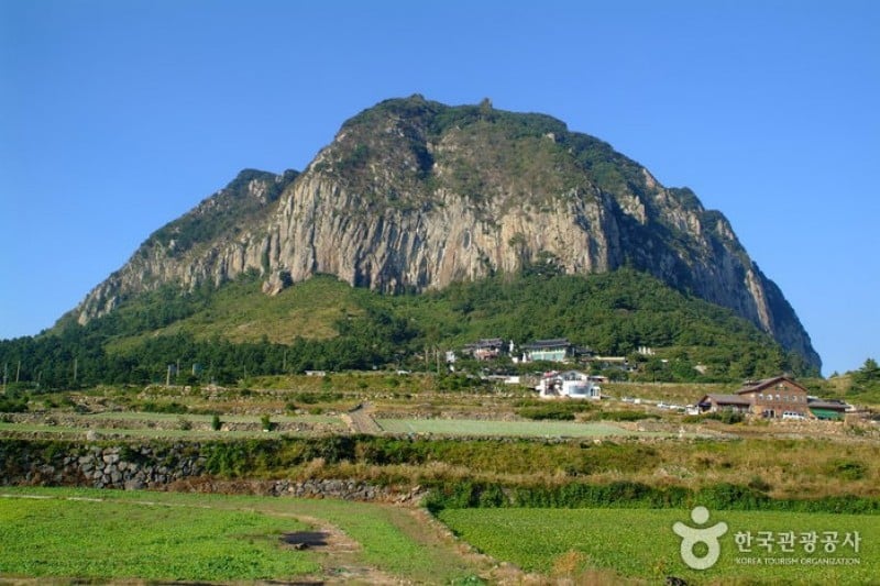 山房山（済州) (8/14)