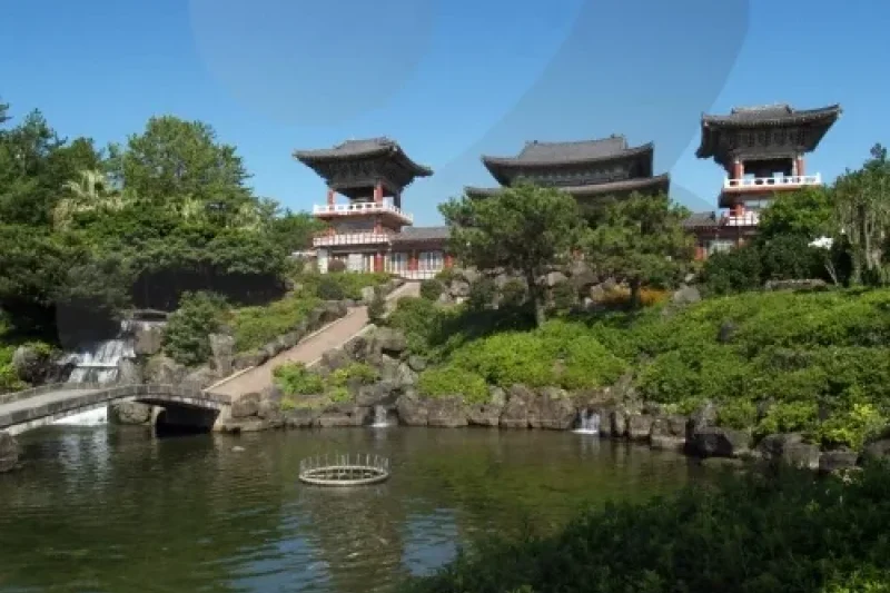 薬泉寺 (16/16)