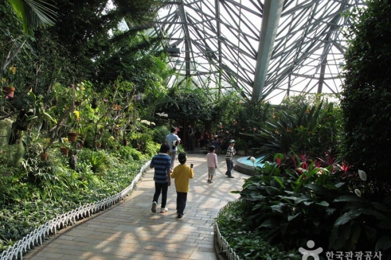如美地植物園 (7/46)