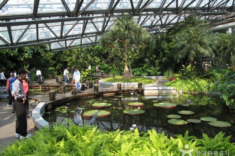 如美地植物園 (12/46)