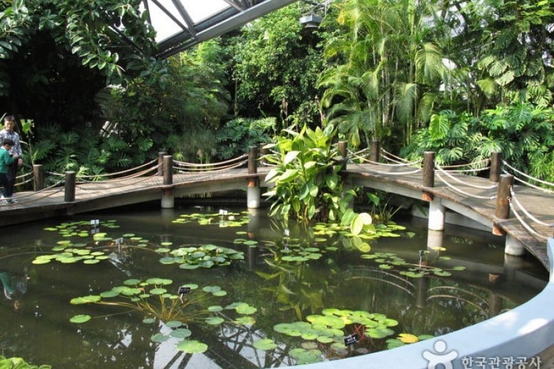 如美地植物園 (13/46)