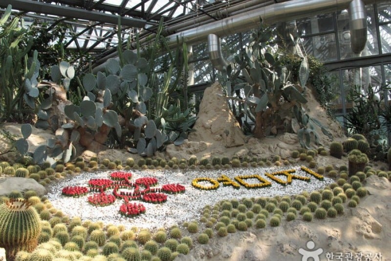 如美地植物園 (15/46)