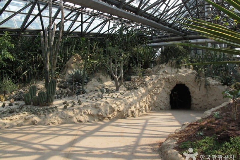 如美地植物園 (17/46)