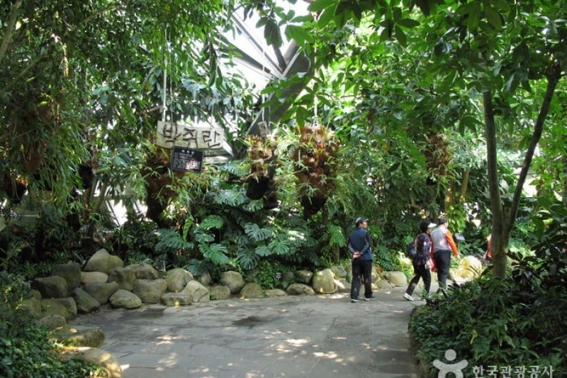 如美地植物園 (18/46)