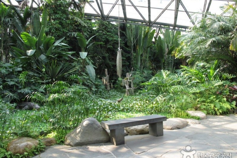 如美地植物園 (19/46)