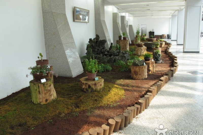 如美地植物園 (24/46)
