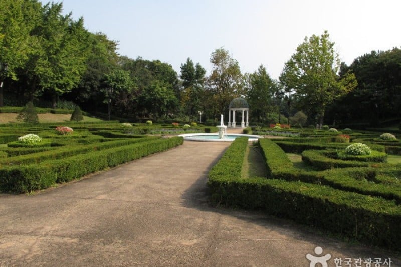 如美地植物園 (28/46)