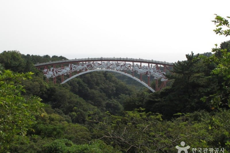 如美地植物園 (33/46)