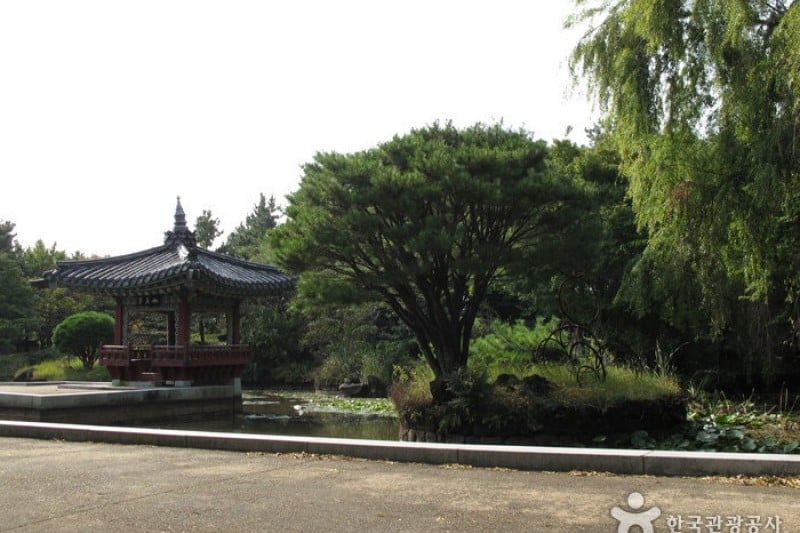 如美地植物園 (35/46)