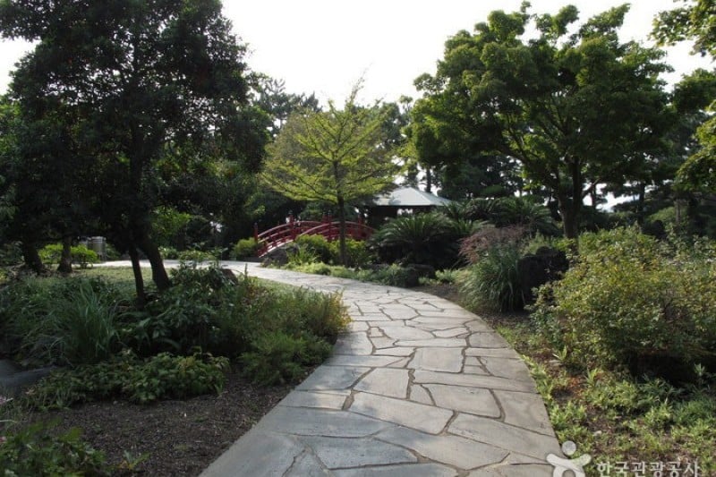 如美地植物園 (37/46)