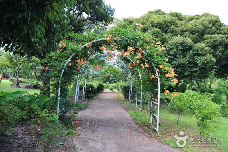 如美地植物園 (43/46)