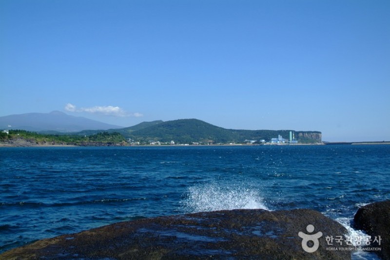 龍頭海岸 (14/17)