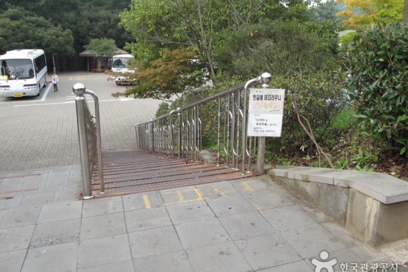 漢拏樹木園 (2/18)