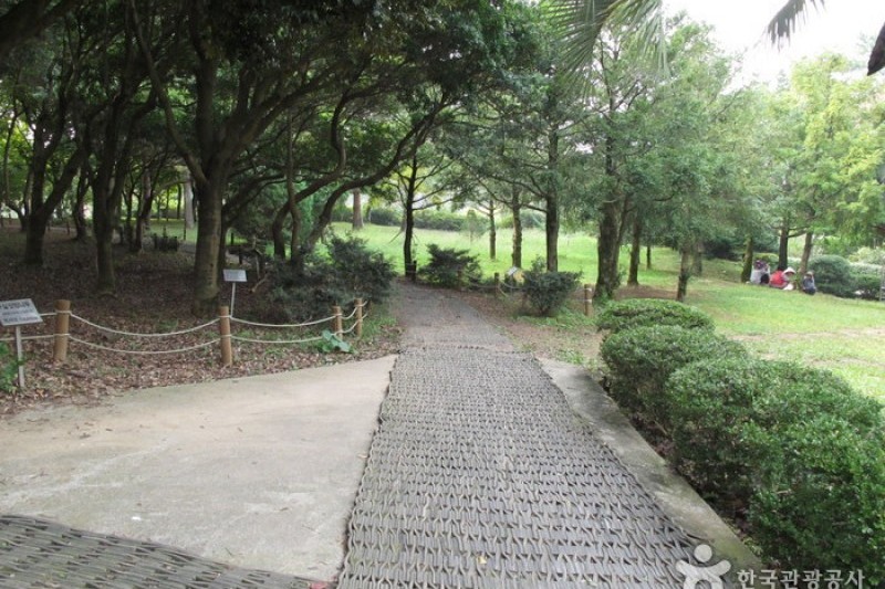 漢拏樹木園 (3/18)