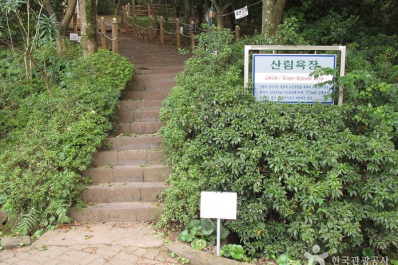 漢拏樹木園 (5/18)