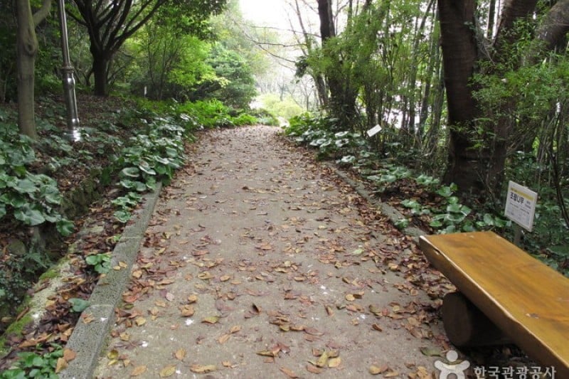 漢拏樹木園 (6/18)