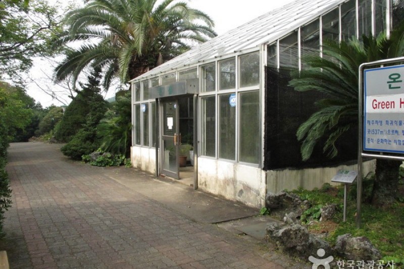 漢拏樹木園 (7/18)