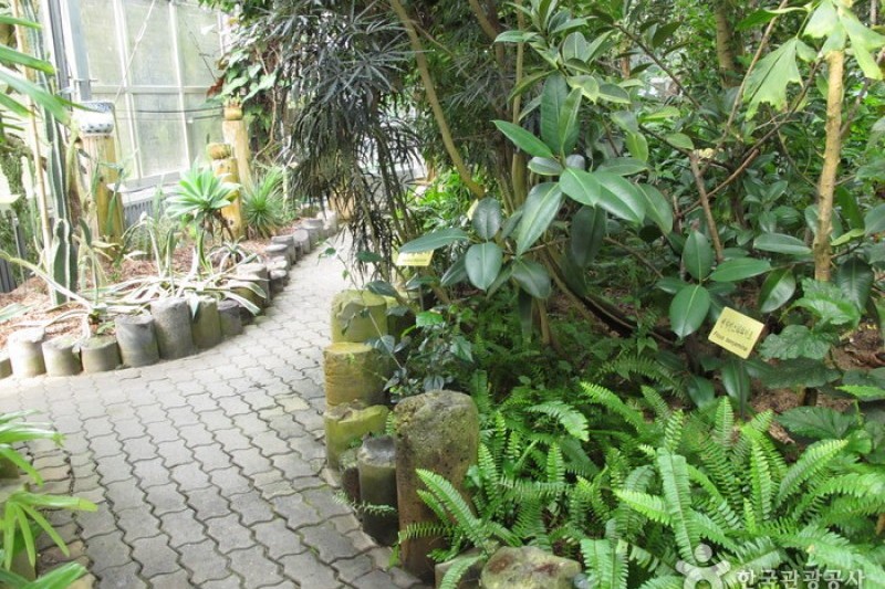 漢拏樹木園 (8/18)