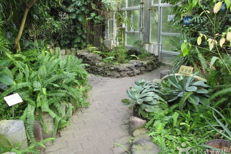 漢拏樹木園 (9/18)