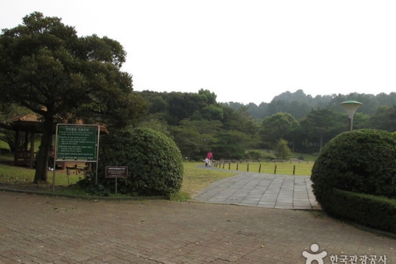 漢拏樹木園 (10/18)